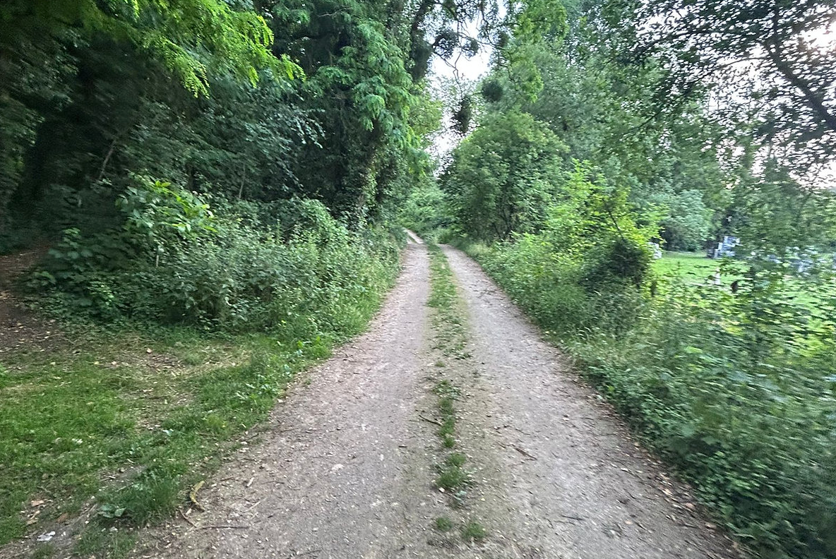 La forêt privée – photo 11