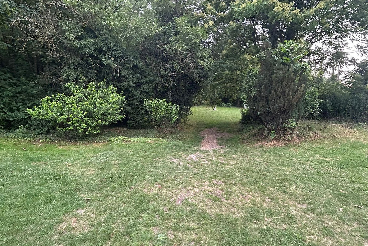 La forêt privée – photo 12