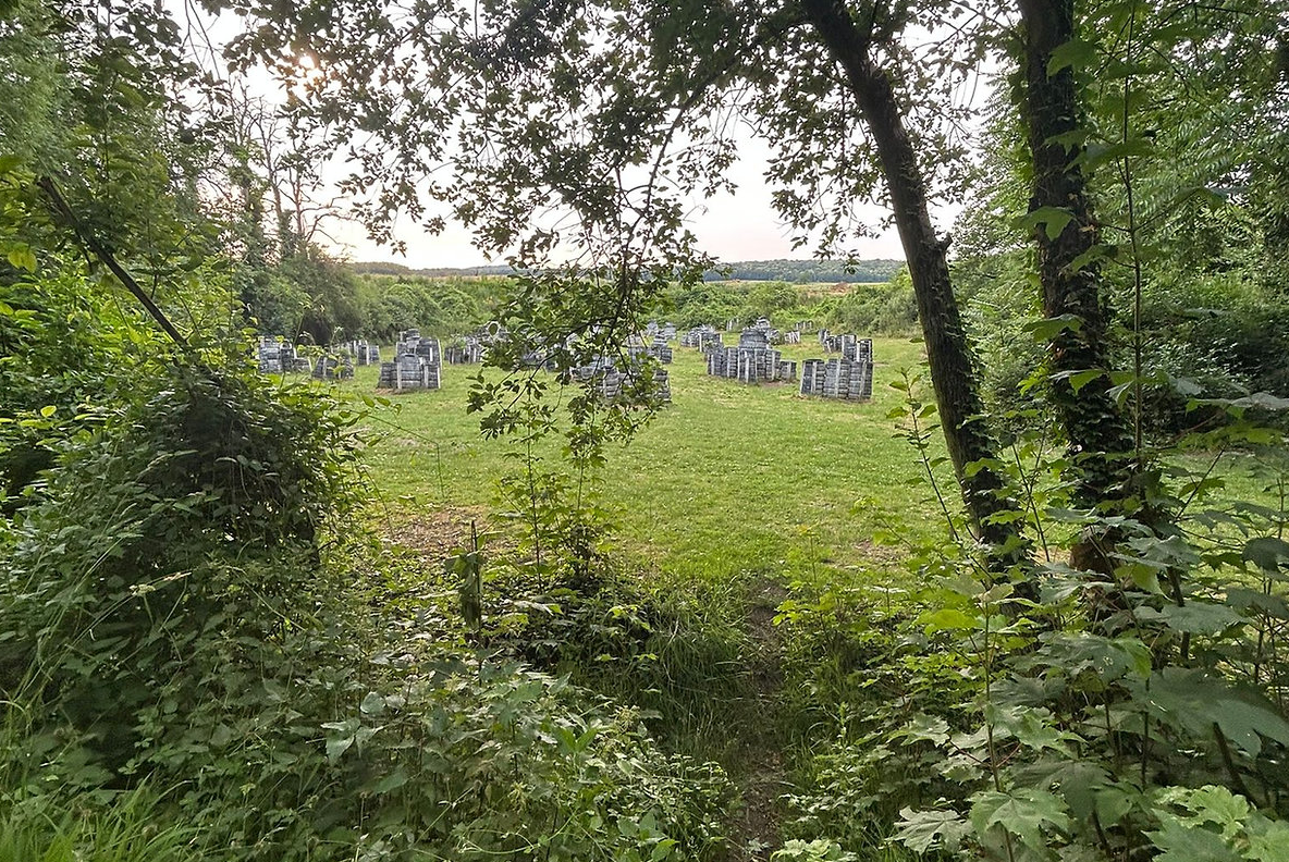 La forêt privée – photo 13