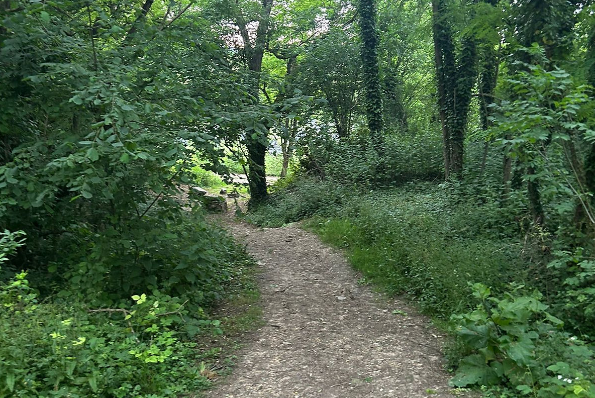 La forêt privée – photo 16