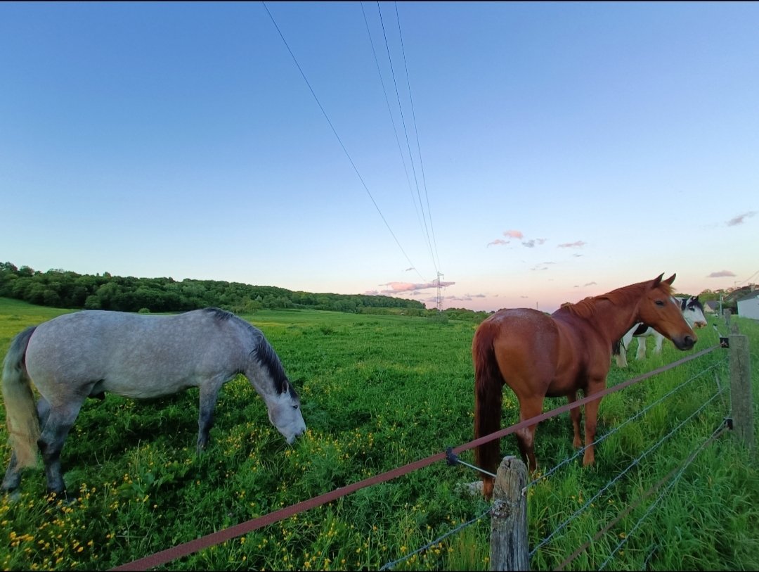 Maison moderne – photo 3