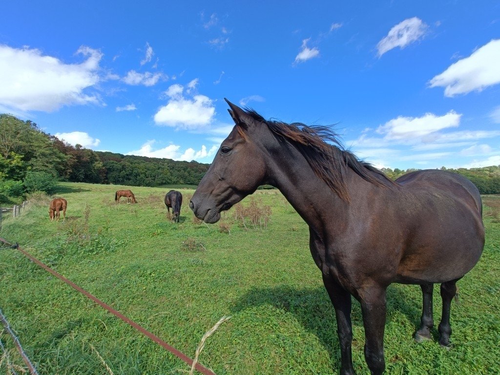 Maison moderne – photo 4