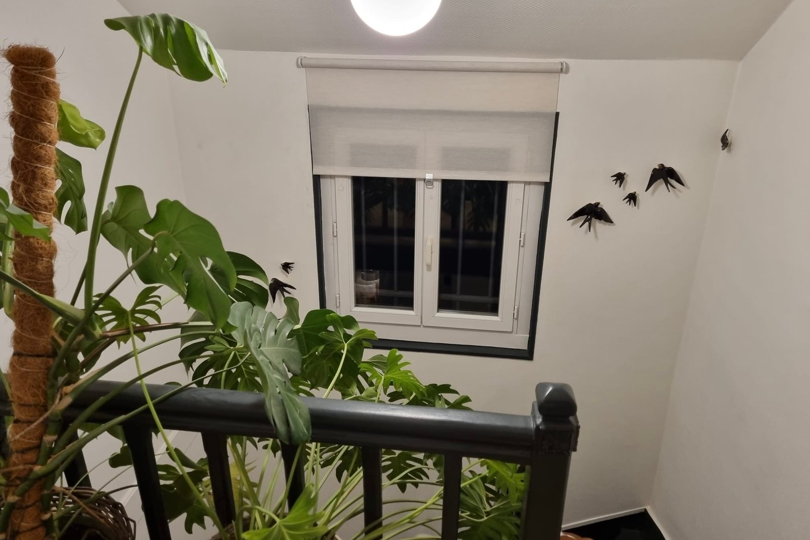 Meulière bourgeoise – photo 42