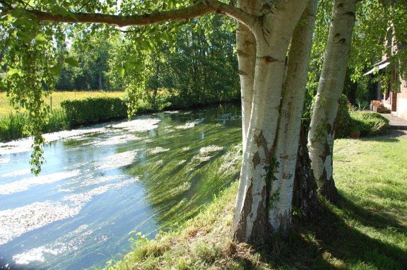 Propriétés en bord de rivière dans leurs jus – photo 2