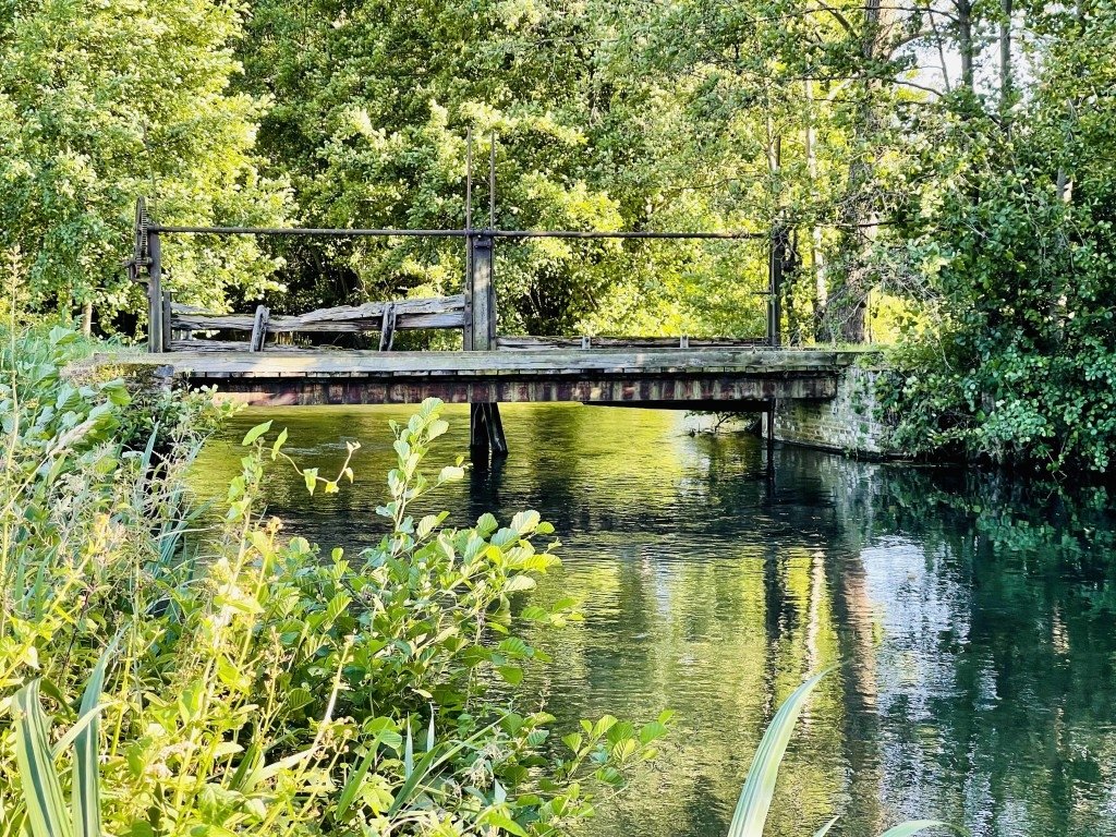 Propriétés en bord de rivière dans leurs jus – photo 3