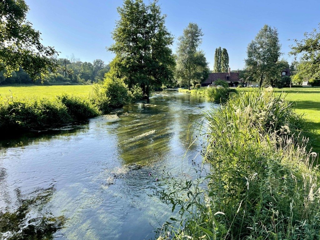 Propriétés en bord de rivière dans leurs jus – photo 4