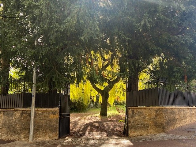 Maison arborée type meulière proche Paris – photo 5