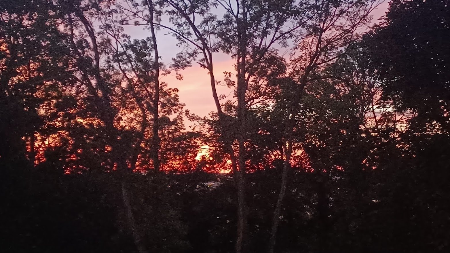 Villa d’architecte en bois – photo 11