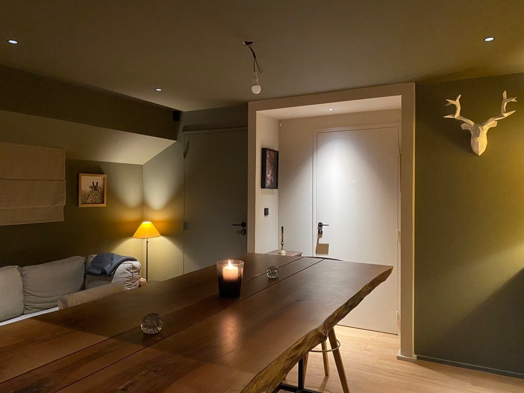 Péniche avec intérieur cosy en région Lyonnaise – photo 11