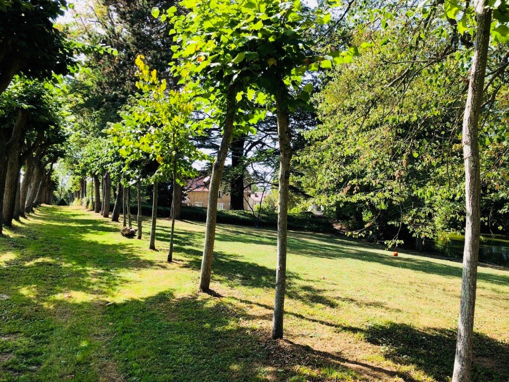 Manoir du XXème siècle – photo 14