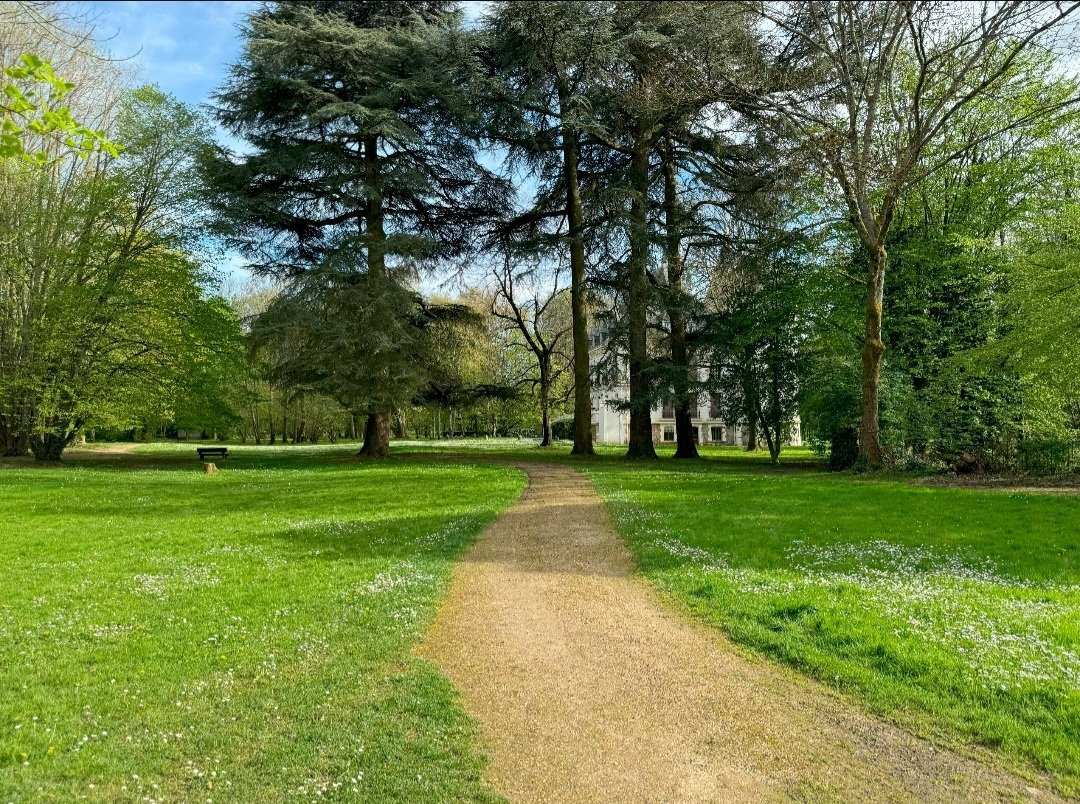 Château en île de France (vide) pour vos tournages et shootings photos – photo 3
