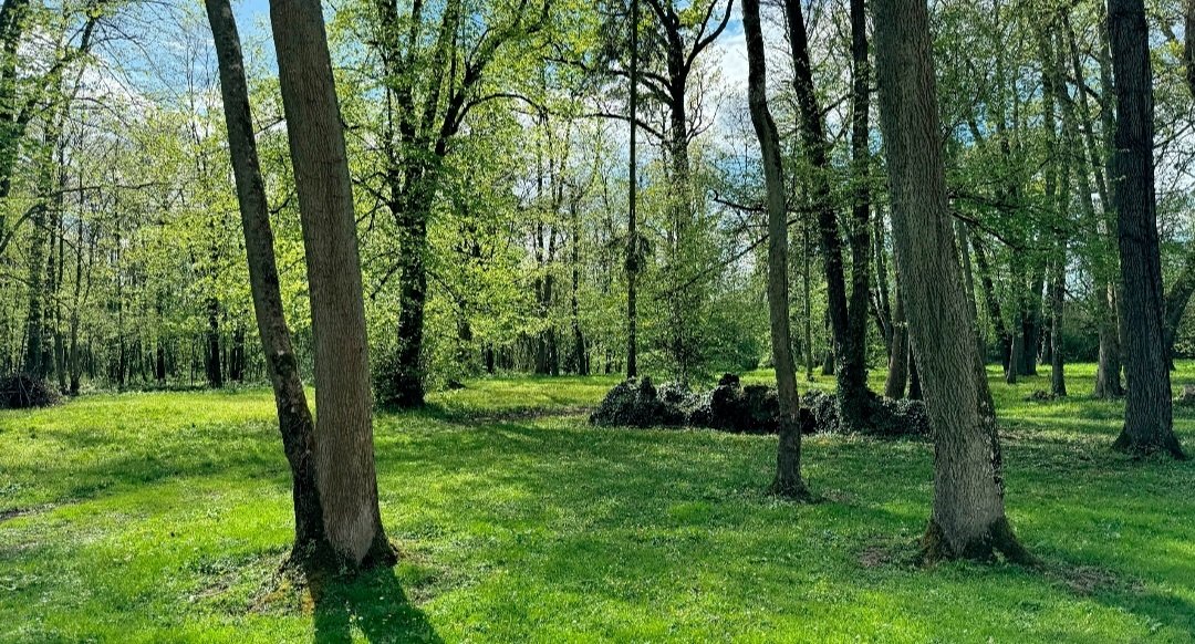 Château en île de France (vide) pour vos tournages et shootings photos – photo 9