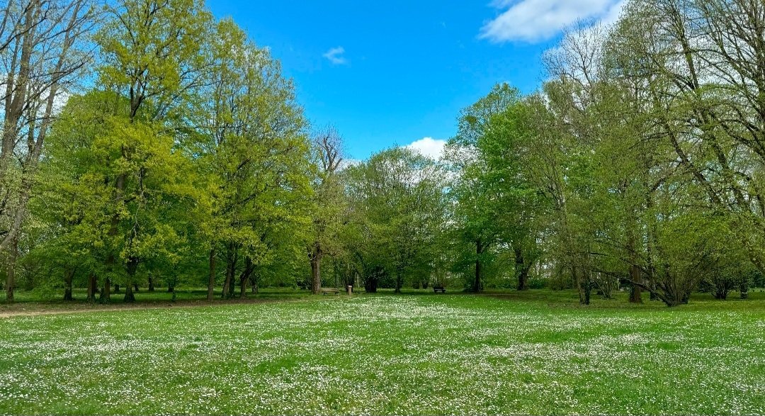 Château en île de France (vide) pour vos tournages et shootings photos – photo 14