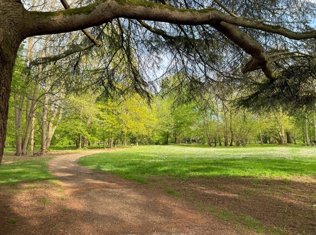 Château en île de France (vide) pour vos tournages et shootings photos – photo 15