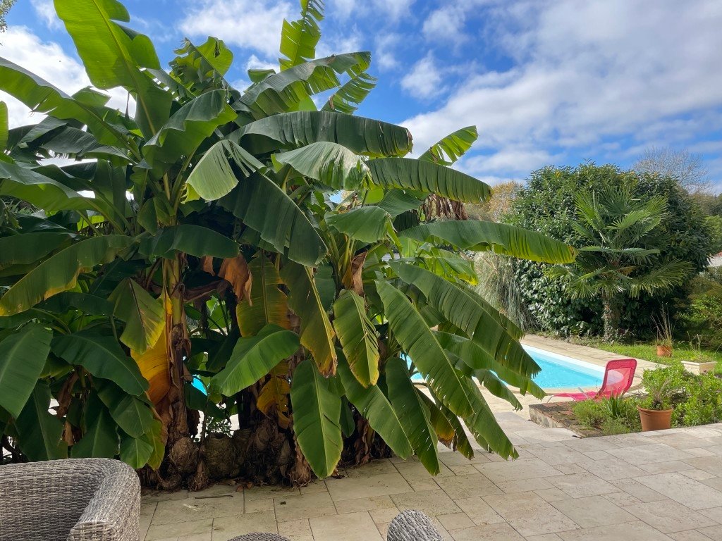 Maison de caractère dans le sud-ouest – photo 9