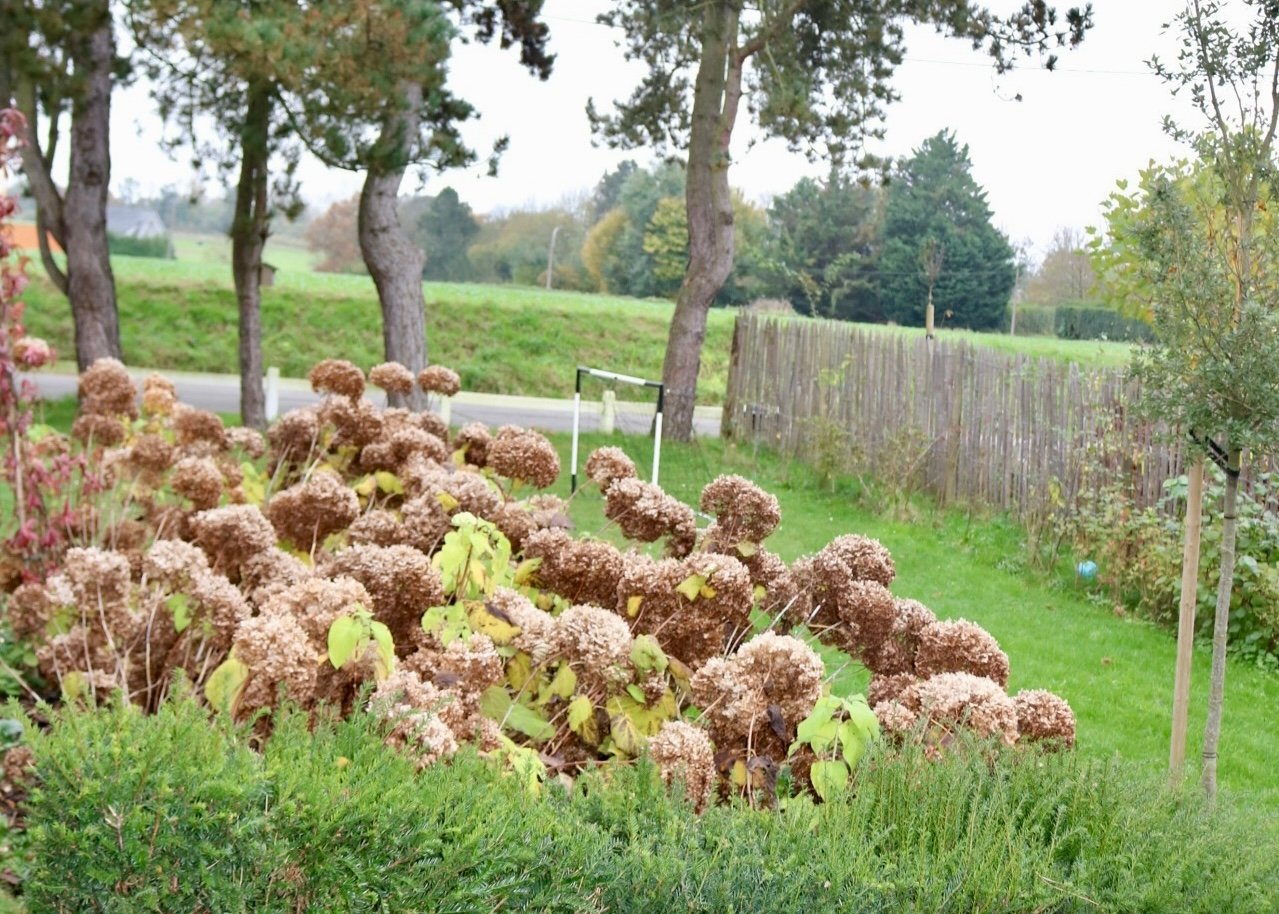 Maison des années 70′ de 300 m2 rénovée avec goût proche de Bruxelles – photo 40