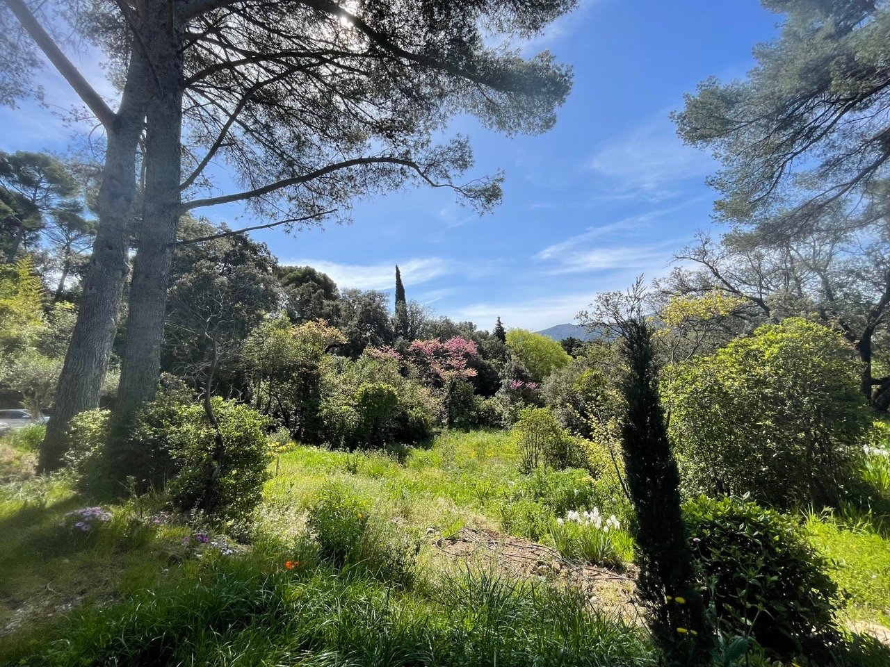 Bastide rénovée dans pinède proche de Marseille – photo 14