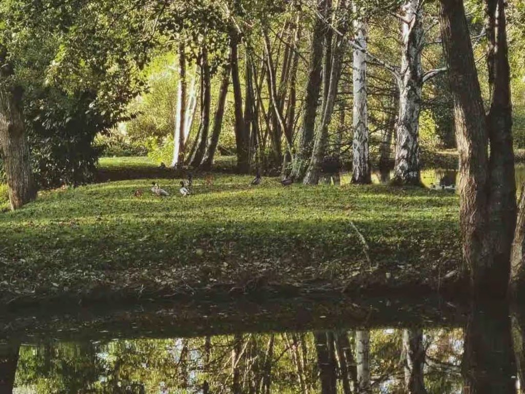 Grange rénovée dans les pays de la Loire – photo 5