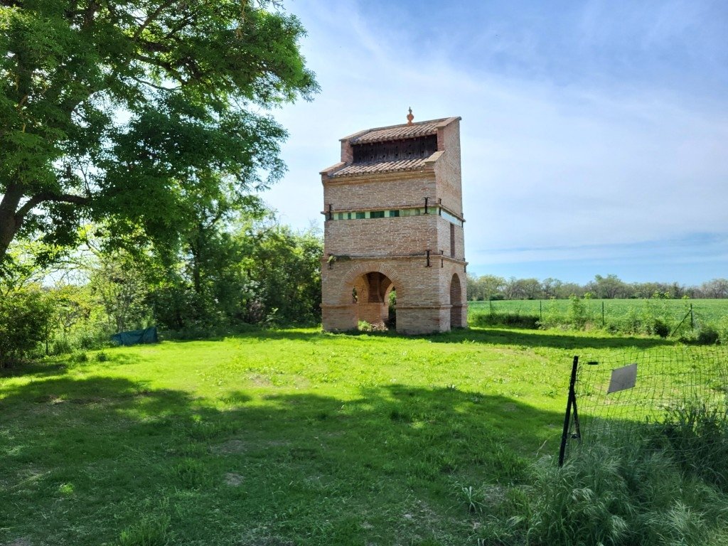 Domaine proche Toulouse – photo 5