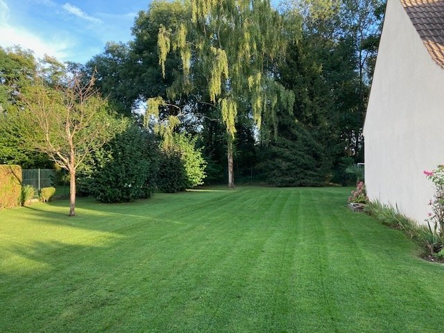 Pavillon de banlieue avec jardin en île de France – photo 1