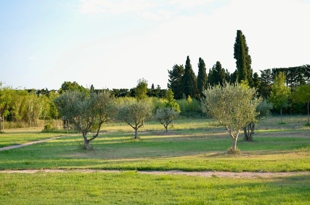 Mas Saint Hubert – photo 10