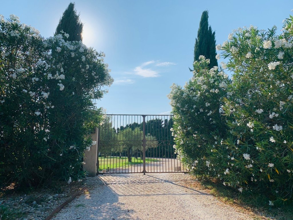 Mas Saint Hubert – photo 11