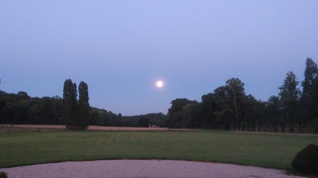 Château classé aux portes de Paris – photo 4