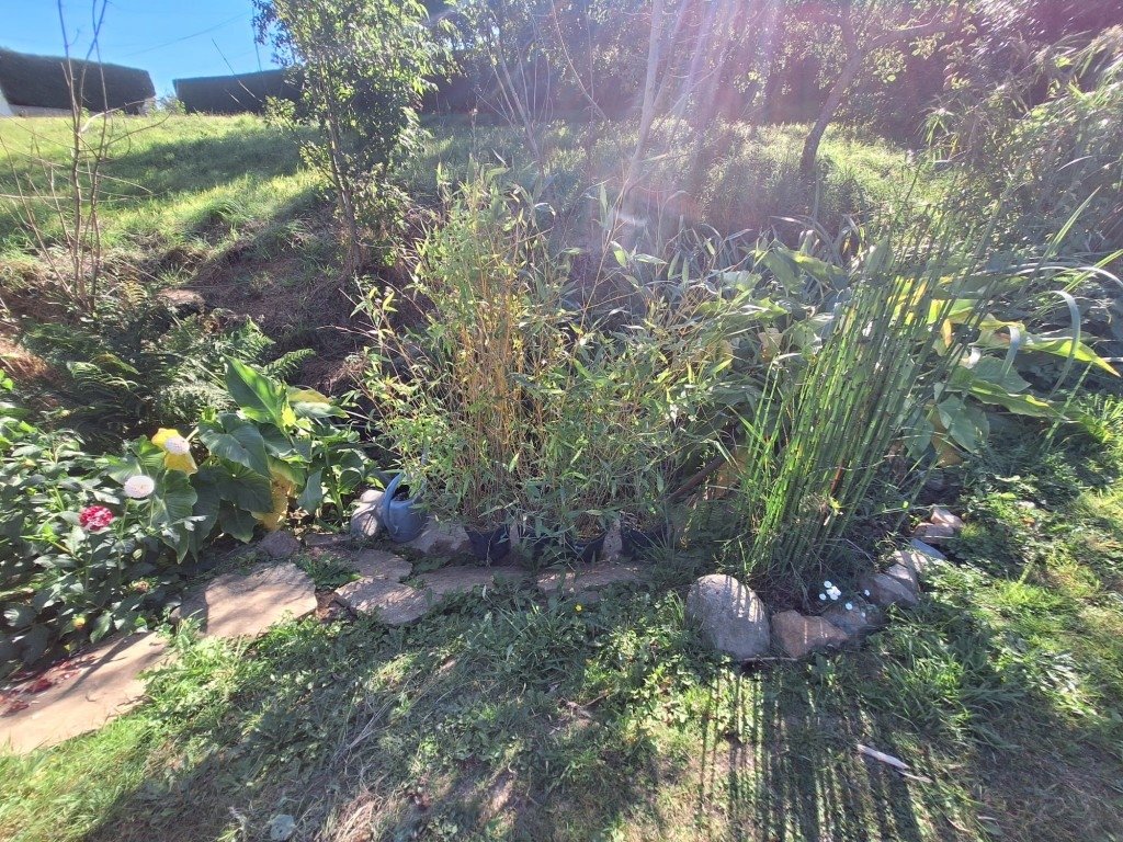Maison lumineuse avec vue sur la campagne – Saint-Donan, à 15 minutes de Saint-Brieuc (Bretagne) – photo 5