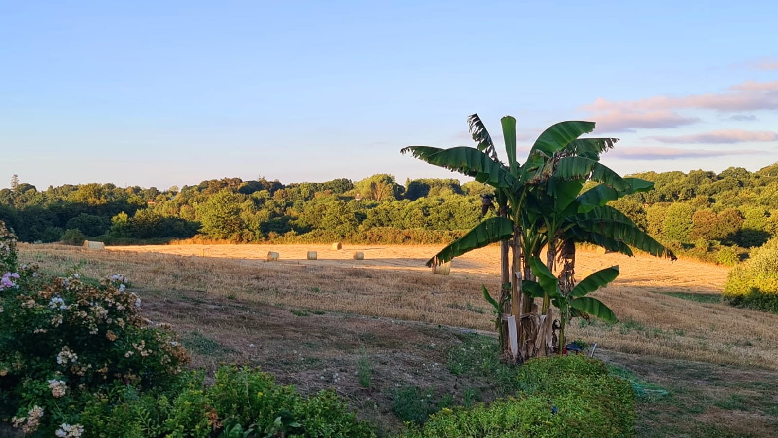 Maison lumineuse avec vue sur la campagne – Saint-Donan, à 15 minutes de Saint-Brieuc (Bretagne) – photo 14