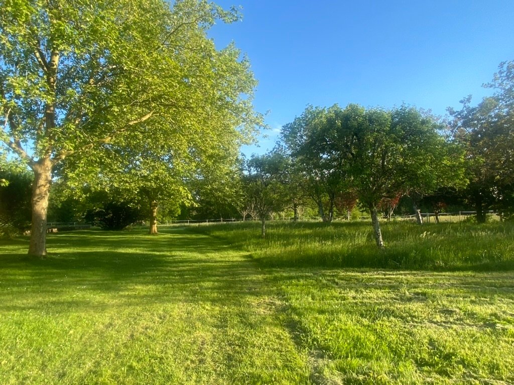 La Couronnade – photo 4