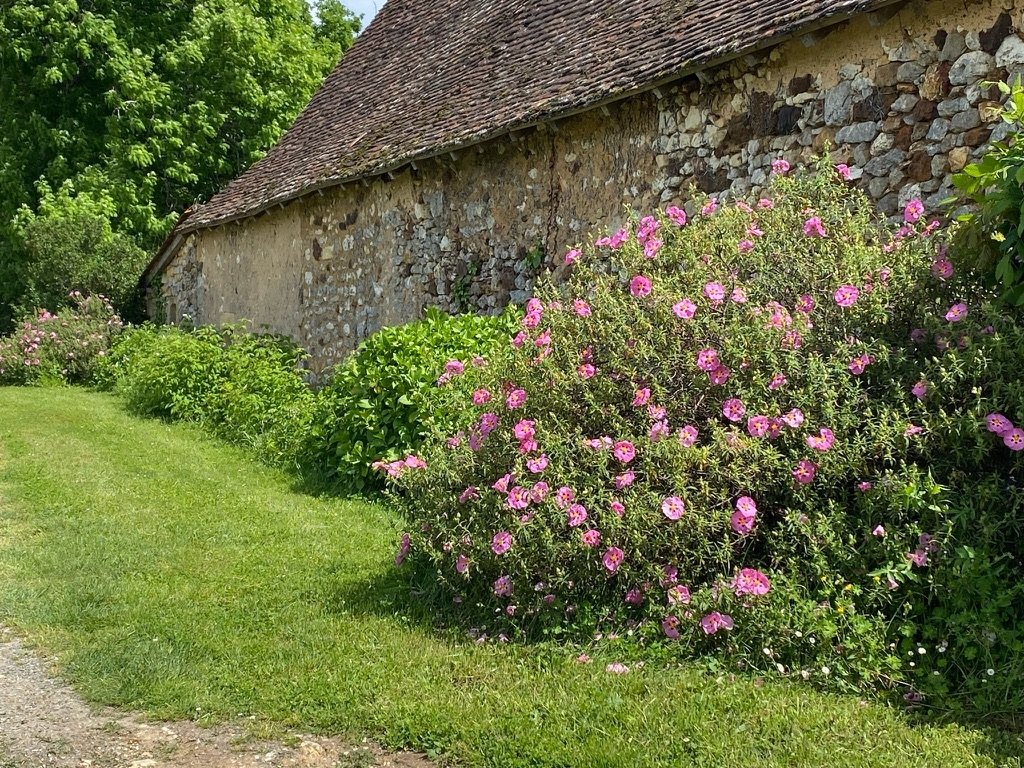 La Couronnade – photo 18