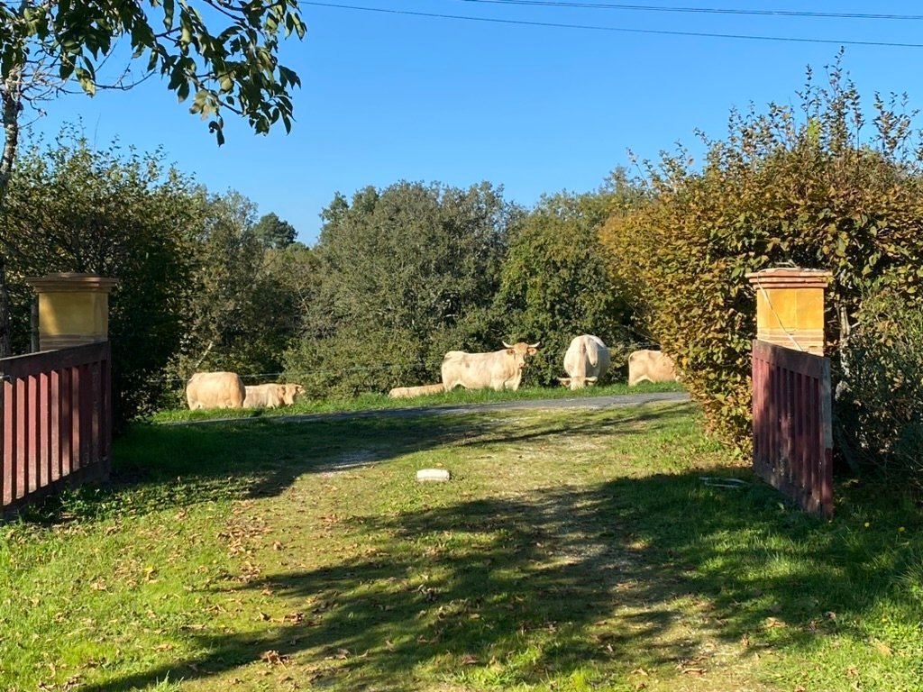 La Couronnade – photo 20