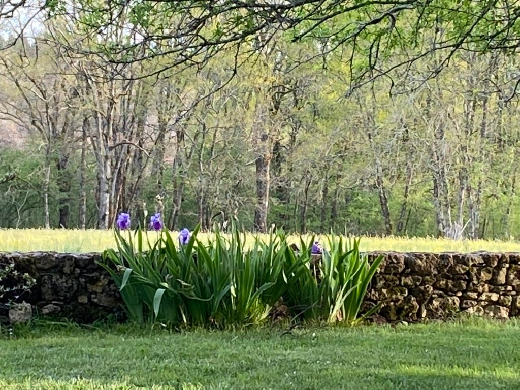 La Couronnade – photo 25