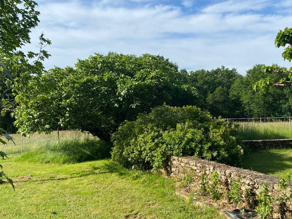 La Couronnade – photo 28