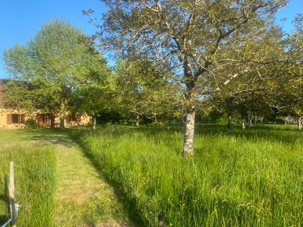 La Couronnade – photo 29