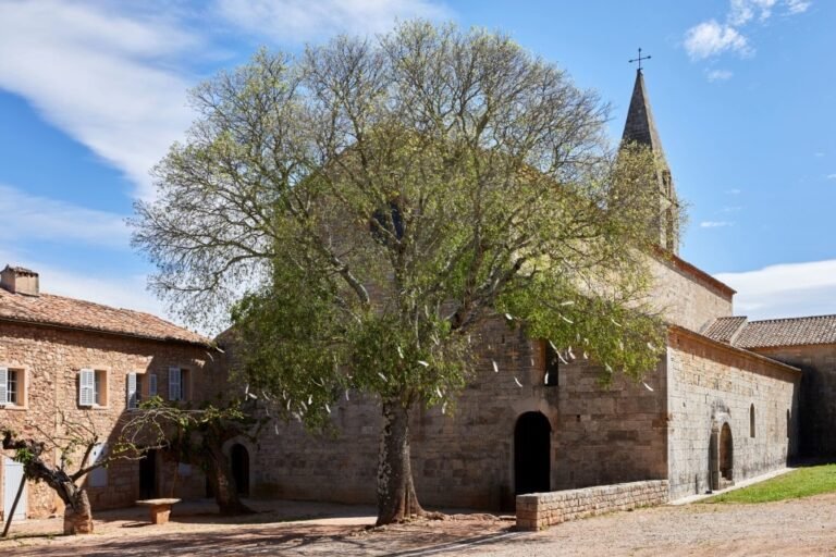Abbaye du Thoronet - photo 626bd870bff17983783388.jpg